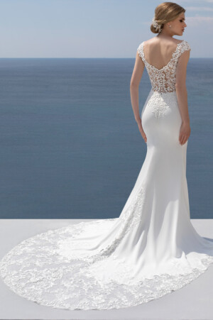 Rückenansicht des Fit and Flare-Kleides